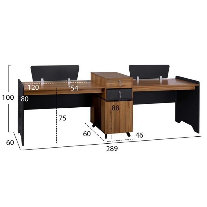 ΕΠΑΓΓΕΛΜΑΤΙΚΟΣ ΣΤΑΘΜΟΣ ΕΡΓΑΣΙΑΣ SUPREME HM2350 2 ΑΤΟΜΩΝ 289x60x100Υ εκ. ΕΠΑΓΓΕΛΜΑΤΙΚΟΣ ΣΤΑΘΜΟΣ ΕΡΓΑΣΙΑΣ SUPREME HM2350 2 ΑΤΟΜΩΝ 289x60x100Υ εκ.