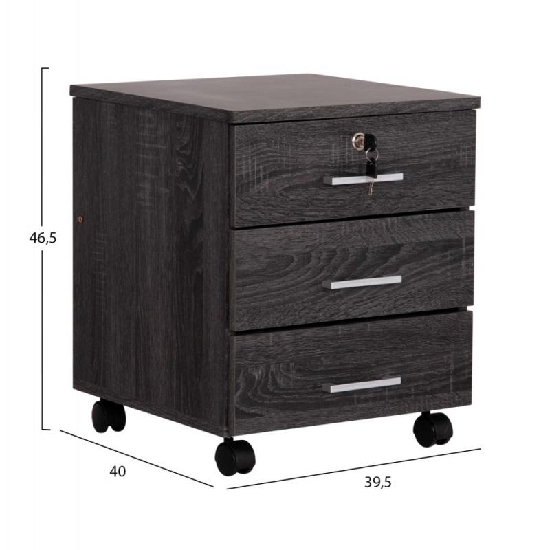 ΣΥΡΤΑΡΙΕΡΑ ΓΡΑΦΕΙΟΥ HAYDEN HM2282.01 ΣΕ ΑΝΘΡΑΚΙ ΧΡΩΜΑ 39.5x40x46.5Υεκ