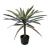 Διακοσμητικό φυτό Dracaena palm σε γλάστρα Inart πράσινο pp Υ62εκ