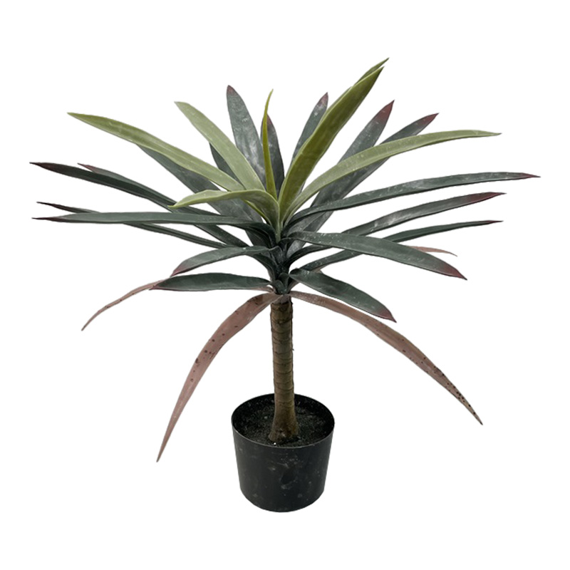 Διακοσμητικό φυτό Dracaena palm σε γλάστρα Inart πράσινο pp Υ62εκ Διακοσμητικό φυτό Dracaena palm σε γλάστρα Inart πράσινο pp Υ62εκ