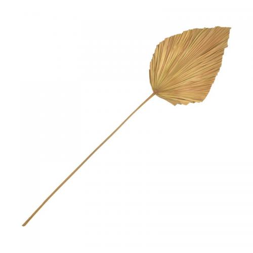 Διακοσμητικό φύλλο Walsy Inart palm leaf σε φυσική απόχρωση Υ135 εκ